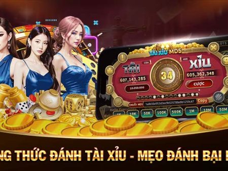 YO88-Cược xanh chín – An toàn và đáng tin cậy!