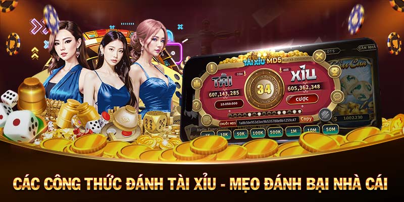 YO88-Cược xanh chín - An toàn và đáng tin cậy!