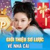 TYPHU88-Tận hưởng các phần thưởng đặc biệt từ nhà cái!